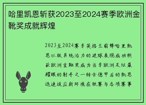 哈里凯恩斩获2023至2024赛季欧洲金靴奖成就辉煌