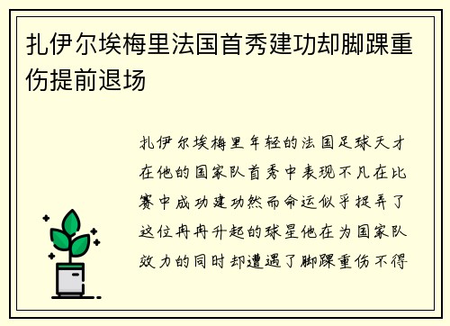 扎伊尔埃梅里法国首秀建功却脚踝重伤提前退场